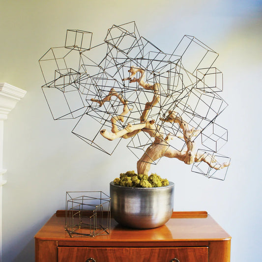 WIRE CUBE, Set/4