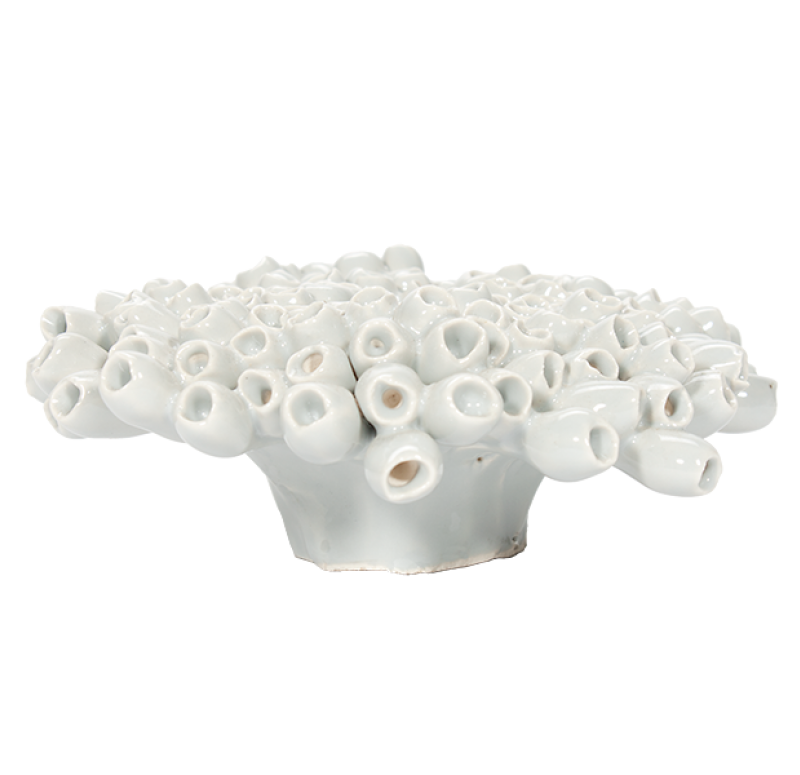 Ceramic Sea Flower, Gloss