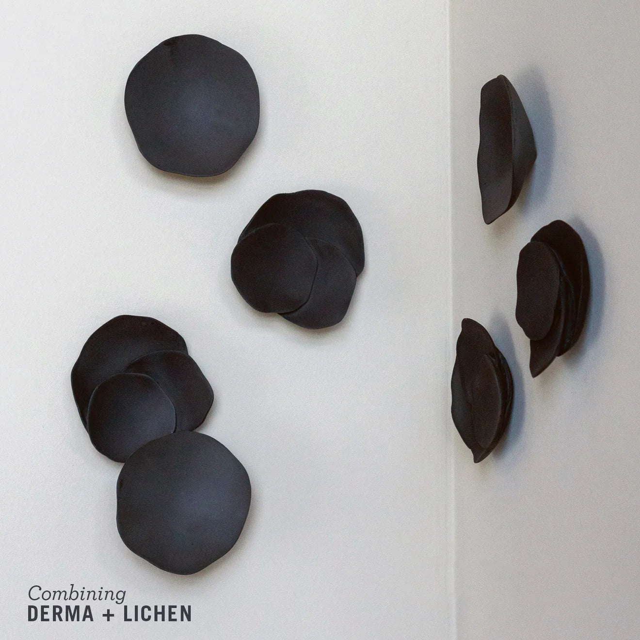 WALL PLAY™: LICHEN, BLACK