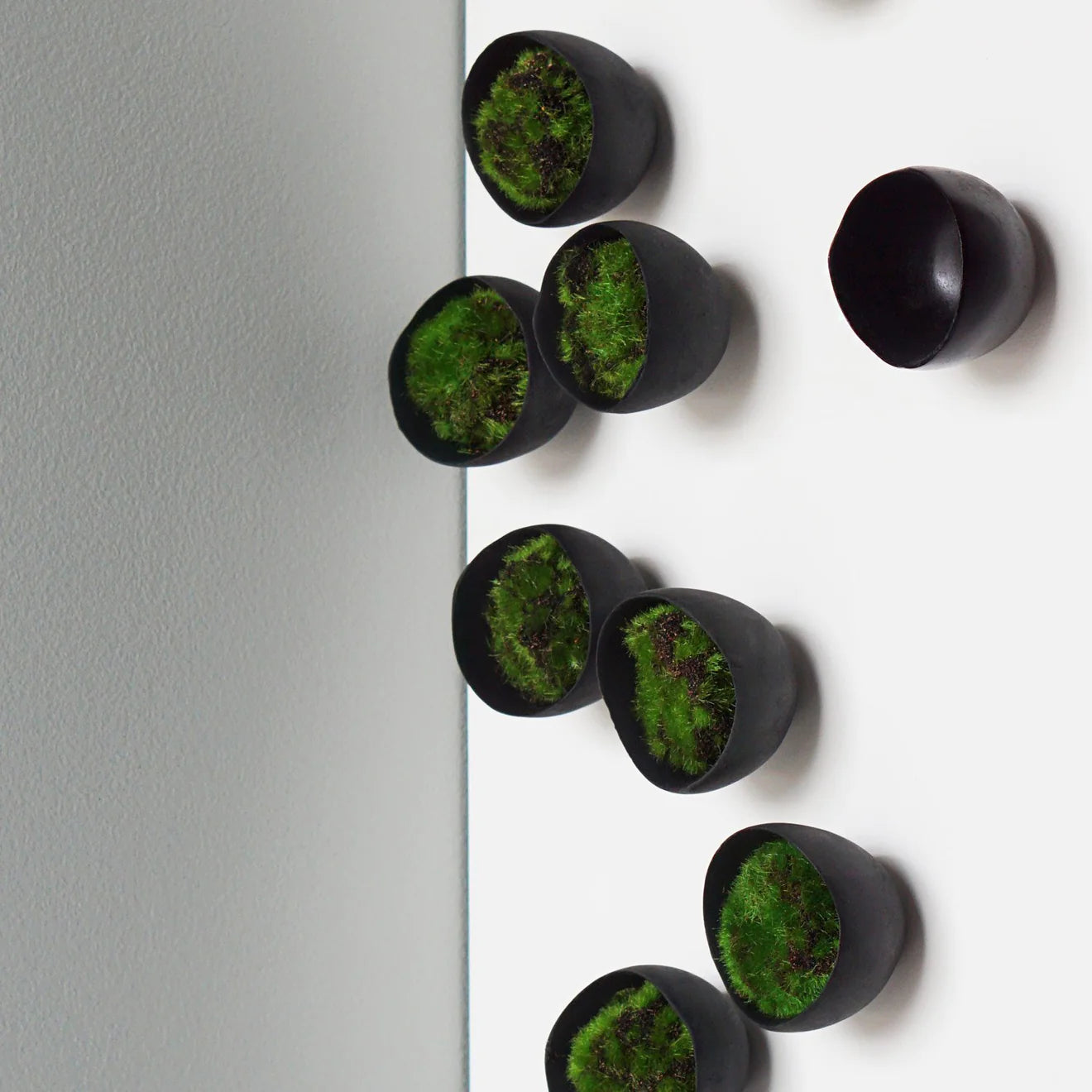 WALL PLAY™: SEED, BLACK/ SET OF 20