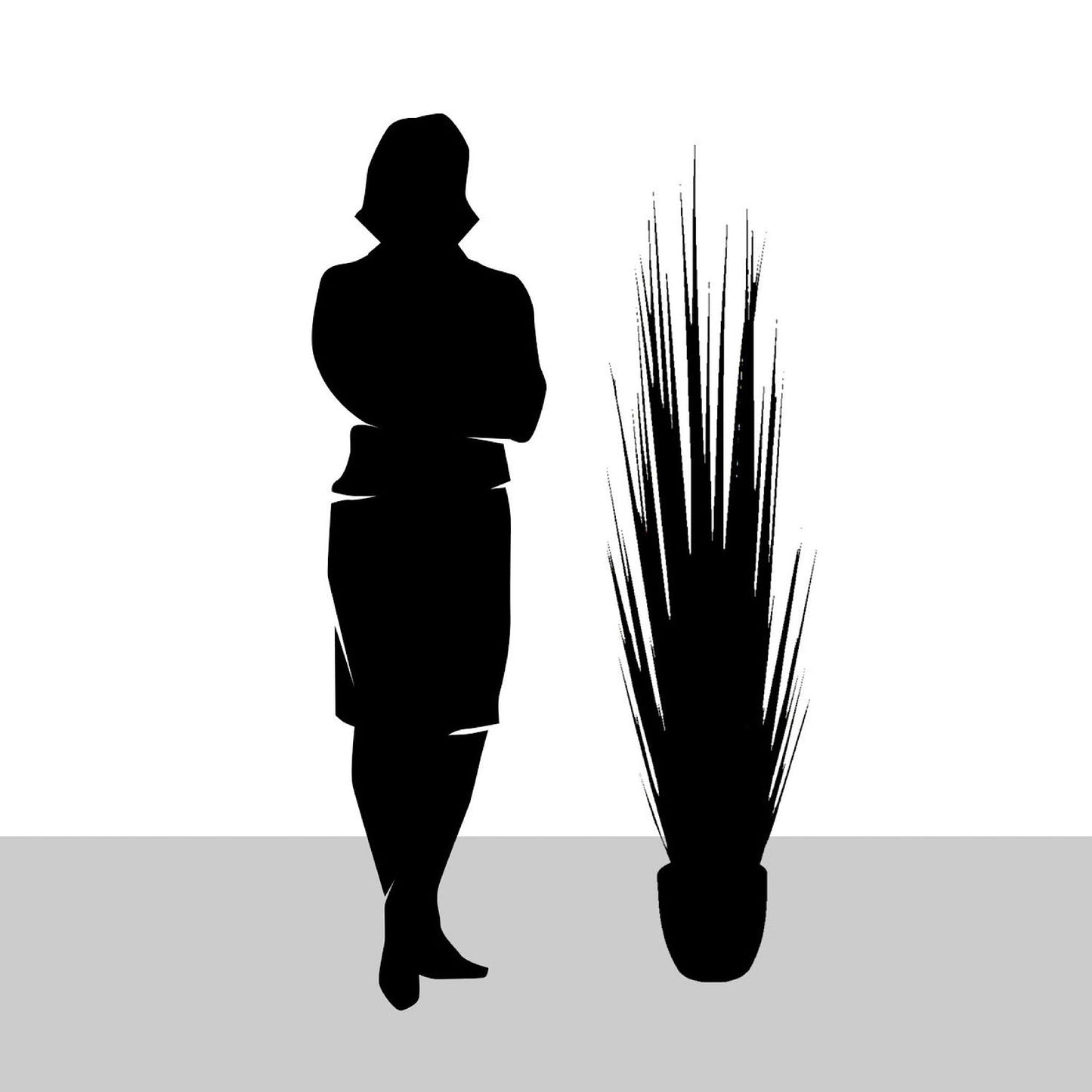 GRASS: CENTURY 86"H, POTTED