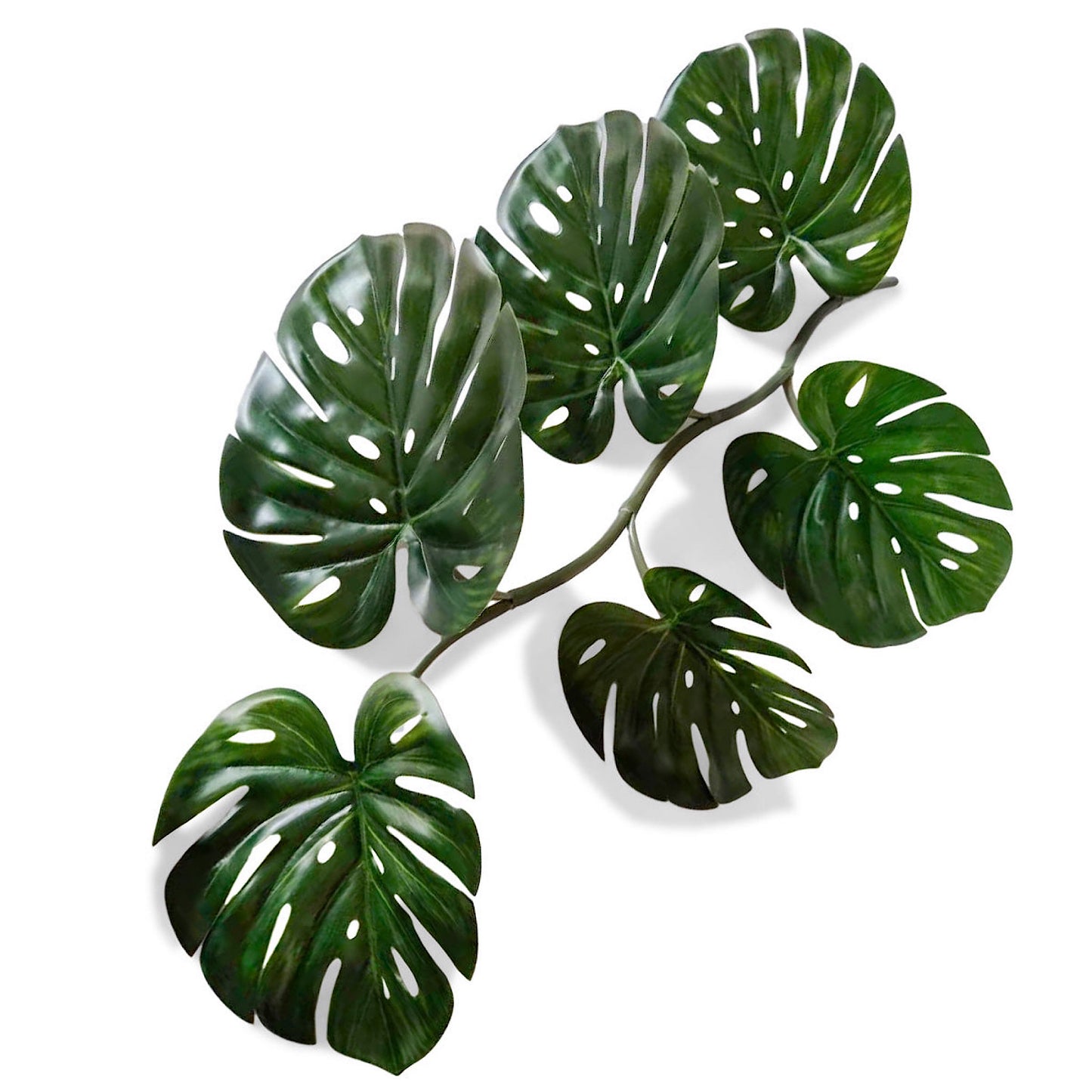 MONSTERA 36.5"L VINE