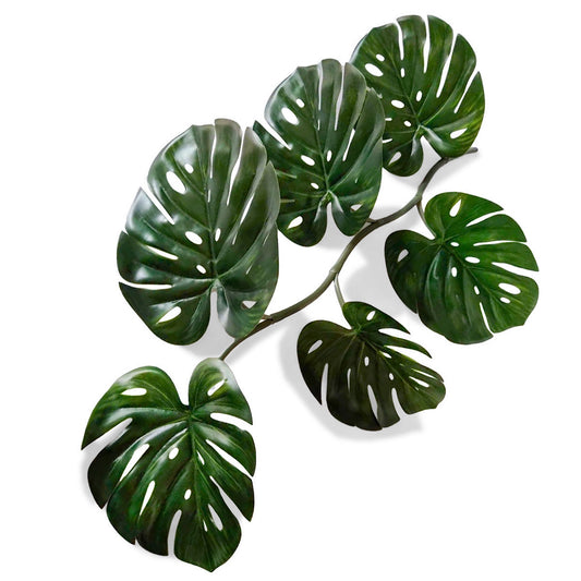MONSTERA 36.5"L VINE
