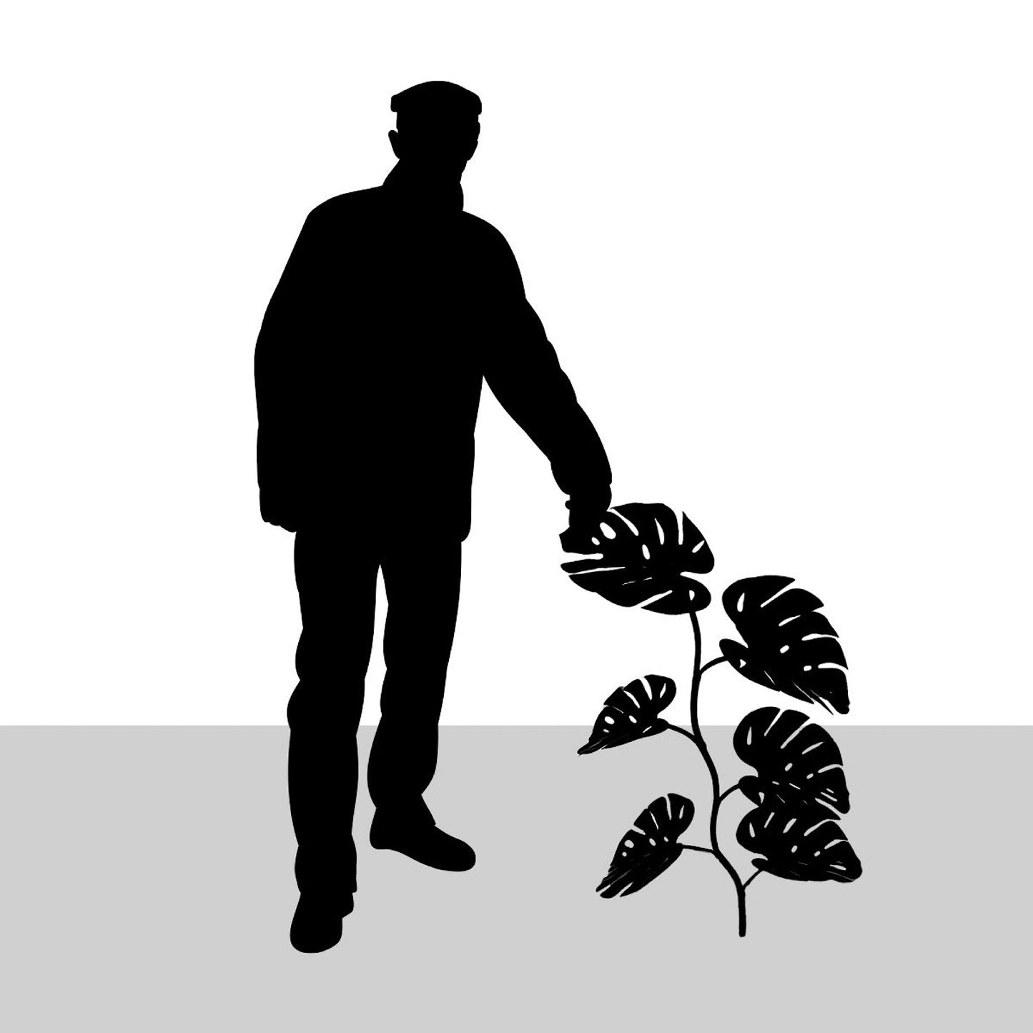 MONSTERA 36.5"L VINE