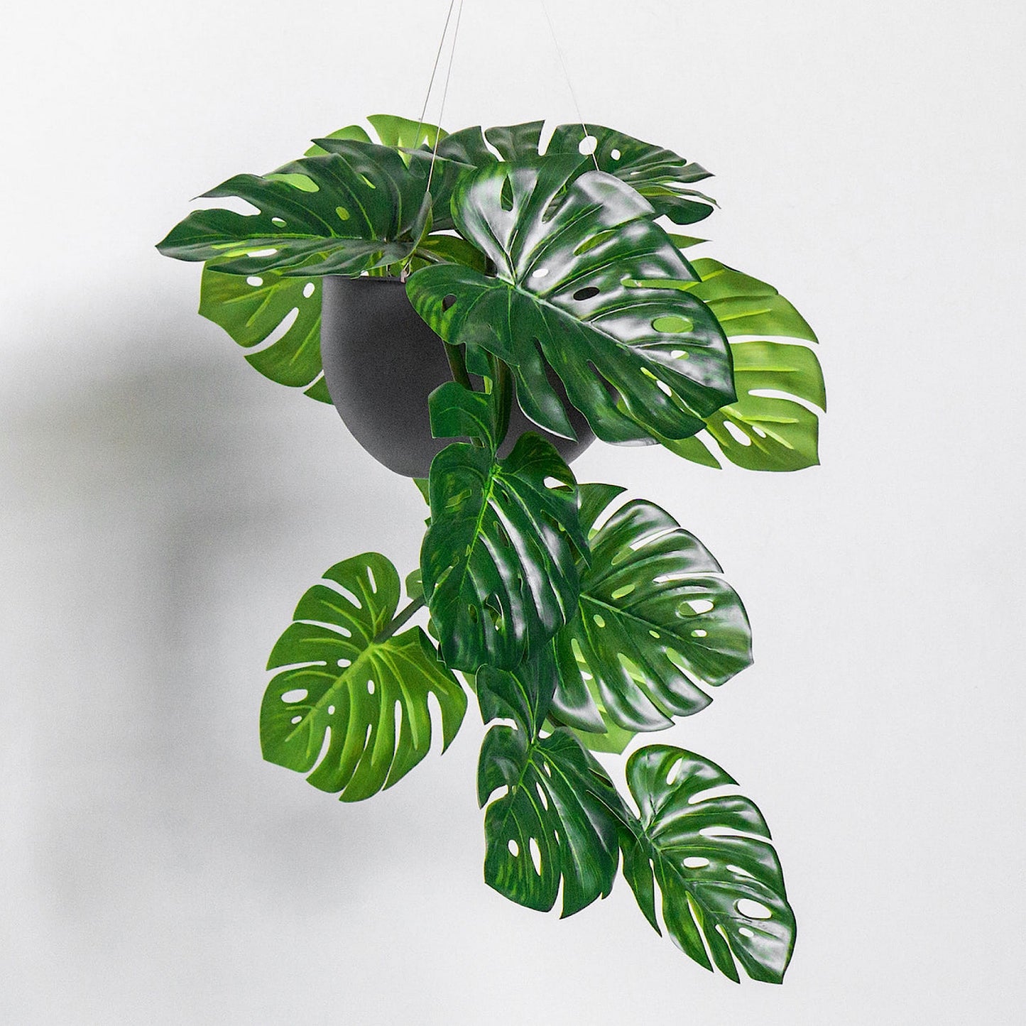 MONSTERA 36.5"L VINE