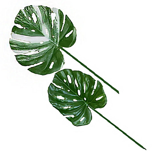 MONSTERA LEAF SET/ 3