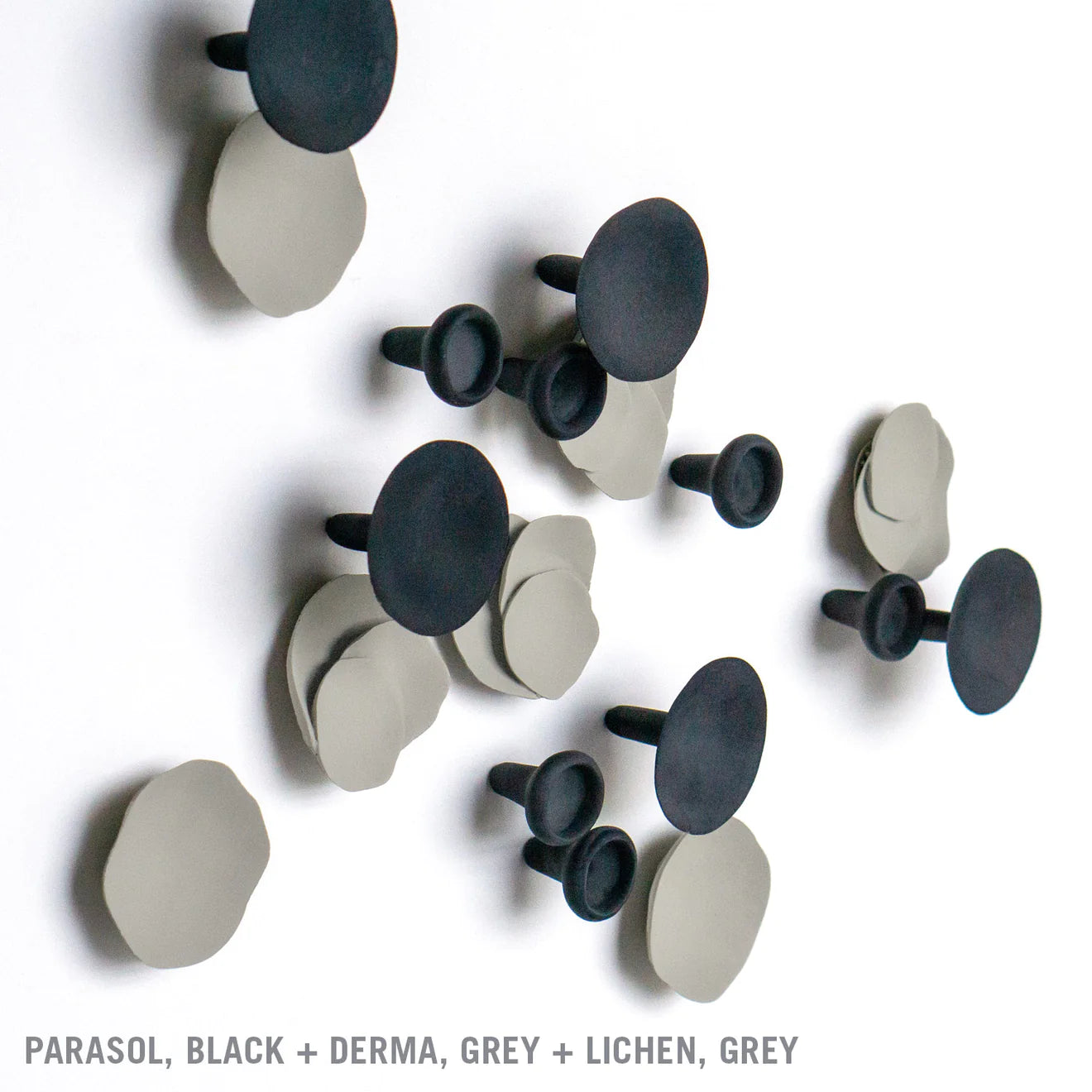 WALL PLAY™: LICHEN, GREY DOVE