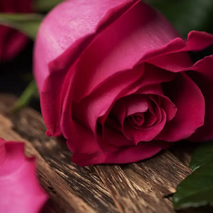 Rose Noir & Oud 7oz Candle